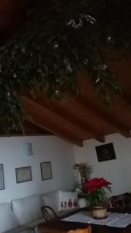 Appartamento La Casa Del Gelsomino Ospedaletto  Esterno foto