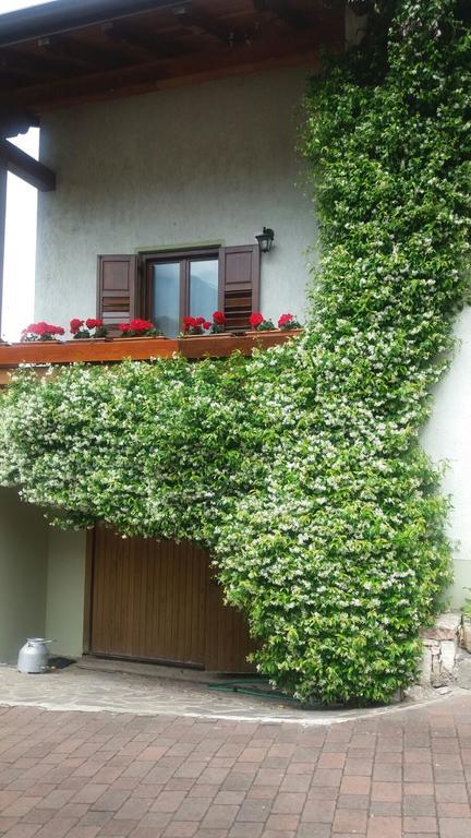 Appartamento La Casa Del Gelsomino Ospedaletto  Esterno foto